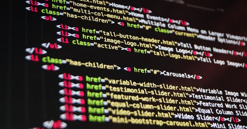 What is the first programming language to learn for beginners?