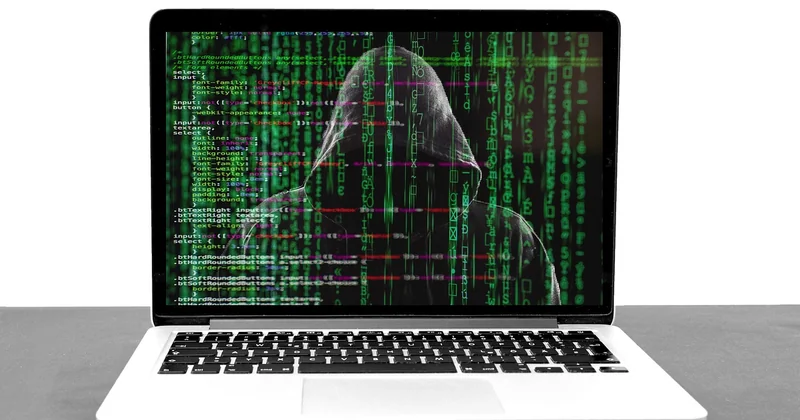 Common phishing attacks, side by side